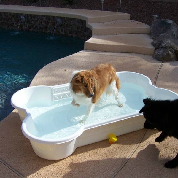 Bone Pool | Dog Swimming Pools | Dog Bone Pool Deck