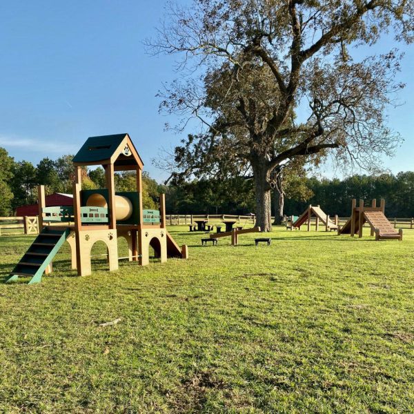 Backyard Dog Playground - I used this for inspiration and had one of these  built. the platform is 6' x 12' with …