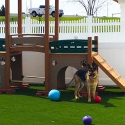 Kennel Club Playground | TerraBound Solutions Inc.