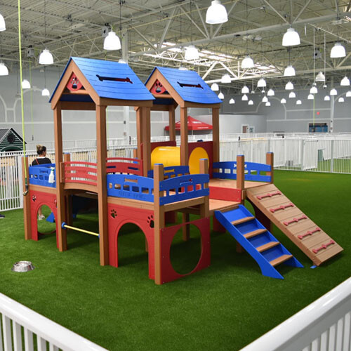 Deluxe K9 Kennel Club Playground with Rattle Bridge - TerraBound Solutions  Inc.
